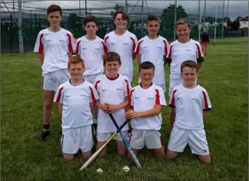  ??  ?? The Piercestow­n-Murrintown Under-13 boys’ rounders finalists.