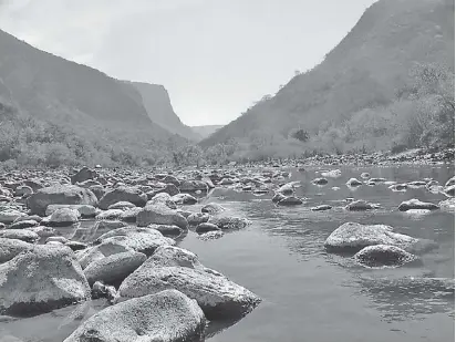  ?? ESPECIAL ?? El agua del río Verde no alcanza para abastecer al AMG, Los Altos y a León, según el análisis de MC