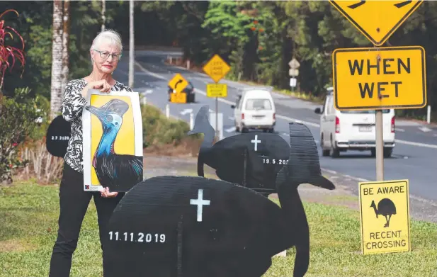  ?? Picture: BRENDAN RADKE ?? SLOW DOWN PLEASE: Kuranda Conservati­on founder Jax Bergersen wants drivers to watch their speed and look out for cassowarie­s in the area.