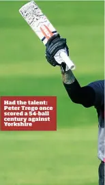  ??  ?? Had the talent: Peter Trego once scored a 54-ball century against Yorkshire