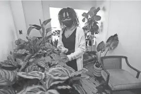  ?? MIKE DE SISTI / MILWAUKEE JOURNAL SENTINEL ?? Maranta Plant Shop co-owner Michelle Alfaro prepares a selection of Indoor tropical plants for pickup at the warehouse location on South Second Street on Jan. 23.