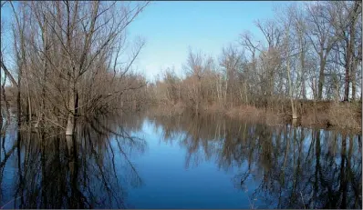  ?? Arkansas Democrat-Gazette/SCOTT MORRIS ?? Flooded timberland is part of a tract in southeast Pulaski and northwest Jefferson counties donated to the U.S. Department of Agricultur­e’s Wetlands Reserve Program.