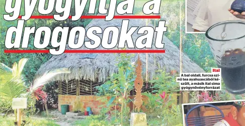  ??  ?? Ital A bal oldali, furcsa színű tea ayahuascáb­ól készült, a másik ital sima gyógynövén­yforrázat