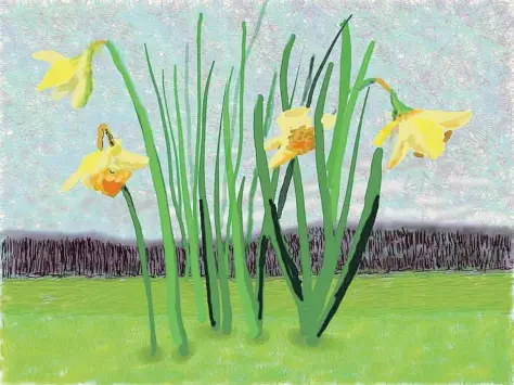  ?? DAVID HOCKNEY ?? Les tulipes de
Hockney. L’artista britànic comparteix la primavera que contempla des de la Normandia.
