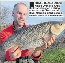  ??  ?? THAT’S REALLY ANDY: King’s Lynn rod Andy Dickinson bagged a string of chub to 4lb 10oz on the River Nene. He used legered cheese paste on a size 6 hook. ®Ê