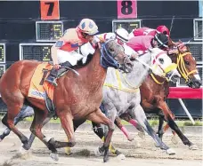  ?? ?? Julio Dos (7) por fuera, ganó la excitante quinta carrera dónde se corrió el Trofeo Día Especial del Groomer. Foto: Marcelo de la Cruz