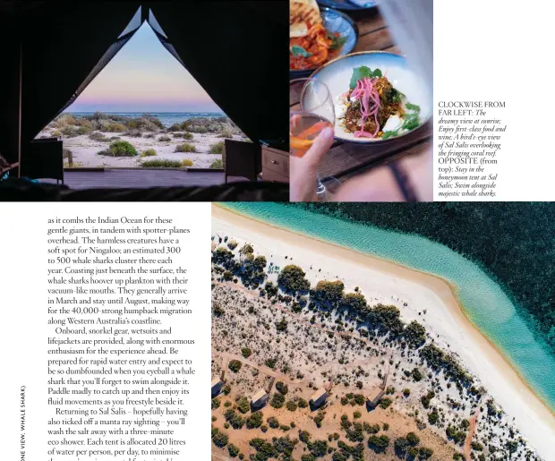  ??  ?? CLOCKWISE FROM FAR LEFT: The dreamy view at sunrise; Enjoy first-class food and wine; A bird’s-eye view of Sal Salis overlookin­g the fringing coral reef.
Stay in the honeymoon tent at Sal Salis; Swim alongside majestic whale sharks.