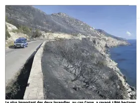  ?? (Photo AFP) ?? Le plus important des deux incendies, au cap Corse, a ravagé   hectares. Attisé par des vents atteignant plus de  km/h, il avait sauté la ligne de crête et atteint la côte est dans la nuit de vendredi à hier.