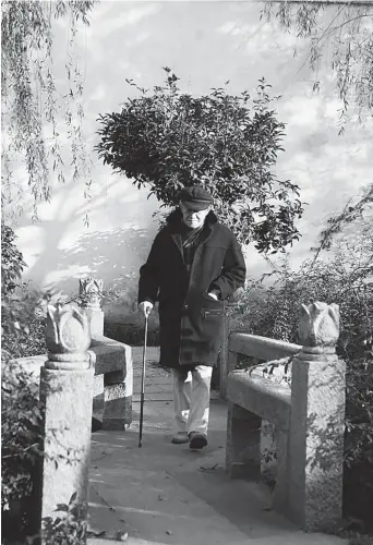  ??  ?? Mu Xin is seen in the garden of his home three years before he died. — Li Jun