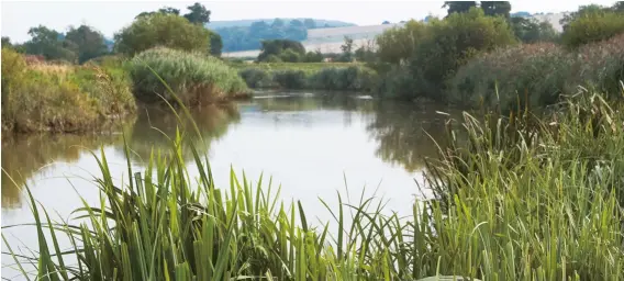  ??  ?? “Amberley Wild Brooks”, one of Ireland’s many fine piano pieces, describes a beautiful wetland area on the River Arun in Sussex.