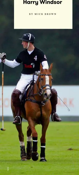  ??  ?? Princes Harry and William shake hands after competing on opposing polo teams, Ascot, June 2011