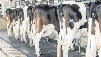  ?? Picture: Getty. ?? The Canadian National Farmers Union president said the country’s dairy sector offers farmers a “decent, predictabl­e livelihood”, and hailed the supply management system.