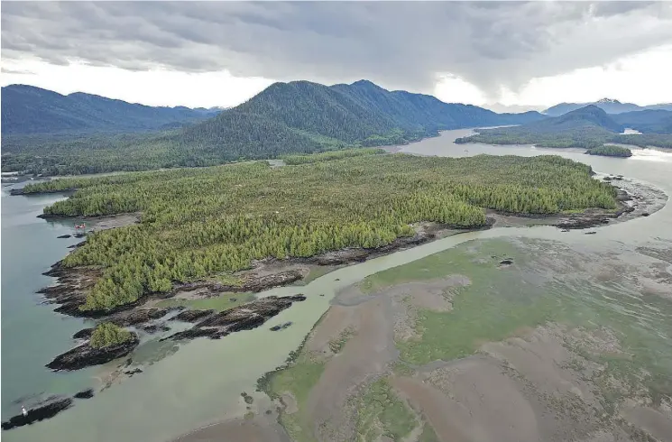  ?? POSTMEDIA NEWS ?? Flora Bank at low tide with the proposed Pacific Northwest LNG site on Lelu Island in the background, in the Skeena River estuary near Prince Rupert, B.C.