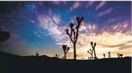  ?? LIAN LAW NATIONAL PARK SERVICE ?? Nighttime traffic to popular destinatio­ns such as California’s Joshua Tree National Park spreads out the visitor footprint over a greater portion of the day.