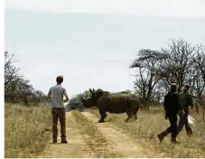  ??  ?? Sigfox équipe dix rhinocéros avec des capteurs connectés à son réseau. (Photo Sigfox Foundation / FRP Edelman)