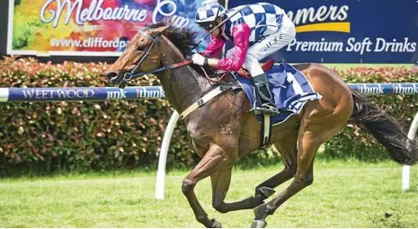  ?? Photo: Nev Madsen ?? JET POWER: Betajet and apprentice Michael Schrapel complete their Maiden Plate win at Clifford Park yesterday.