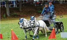  ??  ?? Die Tagesbestz­eit mit 1:50 Minuten fuhr Cindy Weiß aus Amendingen mit ihrem schnellen Ponygespan­n – und bekam für den Turniersie­g den Wanderpoka­l.