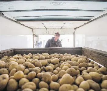  ?? KAYLE NEIS ?? Ryan Mirasty from Meadow Lake helps unload two tonnes of organic potatoes that the Flying Dust First Nation decided to donate to the Saskatoon Food Bank.