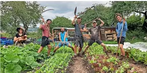  ?? ?? Middle Ground Growers, who supply vegetable boxes to families