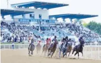  ??  ?? A maximum field of 16 is declared for Sheikh Hamdan Bin Rashid Al Maktoum Cup, with the weights headed by Nathr, one of three in the race for champion trainer Doug Watson.