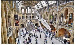  ?? (Rick Steves Europe/Cameron Hewitt) ?? Enjoy many of London’s outstandin­g museums, including the Museum of Natural History, for the price of a voluntary contributi­on.