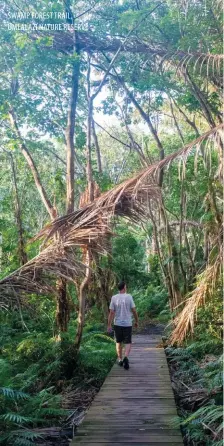  ??  ?? SWAMP FOREST TRAIL, UMLALAZI NATURE RESERVE