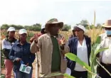  ?? ?? NARDI Chief Research Scientist Dr Lekgari Lekgari presenting on the cereal breeding-(sorghum, millet and maize).