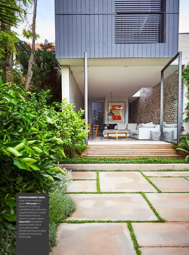  ??  ?? ENTERTAINM­ENT AREA Large-format sandstone pavers (this page) are linked to the home by a sandstone step. Dichondra is planted between to soften the transition from the interior to verdant exterior. (Opposite) Star jasmine and an aromatic mix of curry plant, lavender, santolina and liquorice plant tumble over the paving border edge.