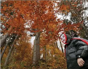  ?? VADIM GHIRDA — THE ASSOCIATED PRESS FILE ?? A child wears a vampire mask while walking in the court yard of Bran Castle Oct. 31, 2016 in Bran, Romania.