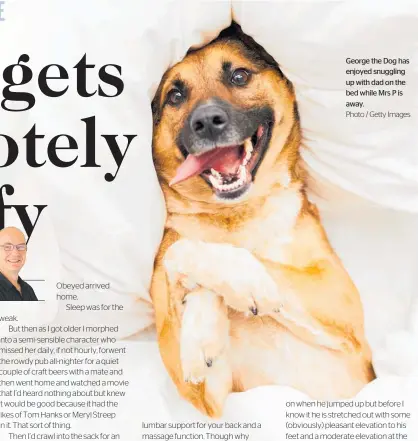  ?? Photo / Getty Images ?? George the Dog has enjoyed snuggling up with dad on the bed while Mrs P is away.