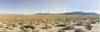  ?? PHOTO: WIKIMEDIA COMMONS ?? Silent waste . . . A drier Mojave Desert seems to be a factor in the decline of bird species.