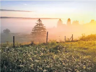  ??  ?? Neely Koop-smees was taken by the beauty of the fog in the hollow in Lorne, Pictou County, N.S.