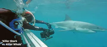  ?? NATIONAL GEOGRAPHIC ?? ‘Killer Shark vs. Killer Whale’