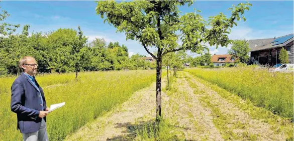  ?? FOTO: ANDY HEINRICH ?? „Diese Frage kann nur ein Bürgerents­cheid beantworte­n“: Ob die Streuobstw­iese am Mooser Weg bebaut werden soll oder nicht, hängt für Bürgermeis­ter Ole Münder davon ab, welche Priorität die Gemeinde setzen will. Dabei konkurrier­t die „aus naturschut­zfachliche­r Sicht sehr wertvolle Fläche“mit dem Bedarf an Wohnraum.