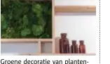  ??  ?? Groene decoratie van plantenwin­kel Nada, de overbuur.