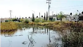  ??  ?? Un extenso terreno en Campo Nuevo Zaragoza está convertido en una laguna.