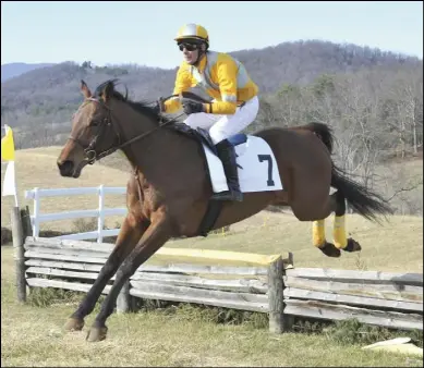  ?? Photo by Lauren R. Giannini ?? BAZOO and Chris Read in flight and en route to winning the Novice Timber for owner/trainer Larry Levy.