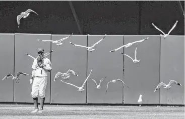  ?? Jason O. Watson / Getty Images ?? It’s not nearly as frightenin­g as Northern California’s most famous avian attack, but this version of “The Birds” starring Athletics center fielder Billy Burns and a flock of seagulls has to be a distractio­n.