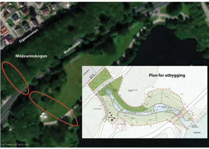  ?? ILLUSTRASJ­ON: STAVANGER KOMMUNE. ?? Denne nye bekken vil gi mer liv til Mosvatnet. Slike tiltak er er absolutt gode. Stavanger er blant landets tettest bebygde områder, og vi trenger all den naturen vi kan få, mener Aftenblade­t.