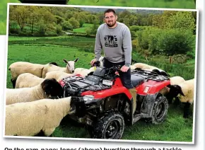  ?? GETTY IMAGES ?? On the ram-page: Jones (above) bursting through a tackle against the Sharks and with his sheep in West Wales