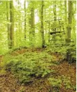  ??  ?? Eines der keltischen Hügelgräbe­r im Eurasburge­r Forst ist von einem Hochstand gekrönt.