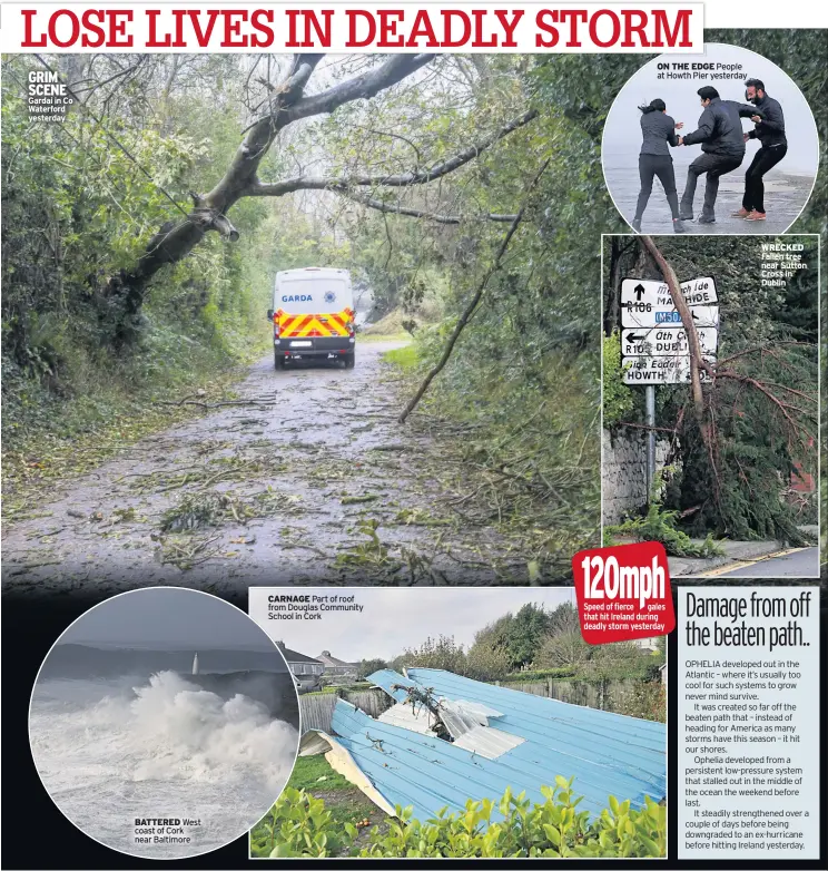  ??  ?? GRIM SCENE Gardai in Co Waterford yesterday BATTERED West coast of Cork near Baltimore CARNAGE Part of roof from Douglas Community School in Cork ON THE EDGE People at Howth Pier yesterday WRECKED Fallen tree near Sutton Cross in Dublin