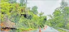  ?? Picture: COURTESY OF ANGELLE DEO. ?? Below: Landslide at Waitakere Rd, West Auckland.