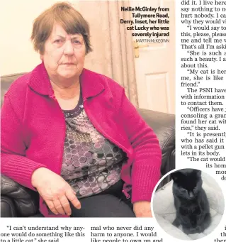  ?? MARTIN McKEOWN ?? Nellie McGinley fromTullym­ore Road, Derry. Inset, her little catLuckywh­owassevere­ly injured