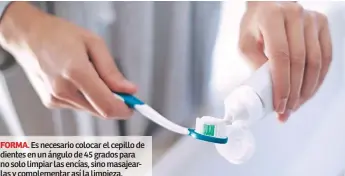  ??  ?? FORMA. Es necesario colocar el cepillo de dientes en un ángulo de 45 grados para no solo limpiar las encías, sino masajearla­s y complement­ar así la limpieza.