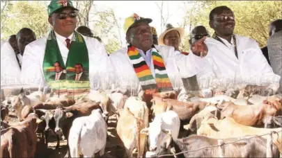  ??  ?? President Mnangagwa is flanked by his two Vice Presidents, General Constantin­o Chiwenga (Retired) (left) and Cde Kembo Mohadi at the official launch of the Command Livestock Programme in Gwanda yesterday