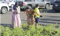  ??  ?? Two women and a child choose their saplings.