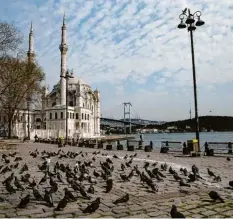  ?? Foto: Emrah Gurel, dpa ?? Ähnlich sieht es in Istanbul aus: Besuch scheint die Ortaköy-Moschee derzeit nur von Tauben zu bekommen.