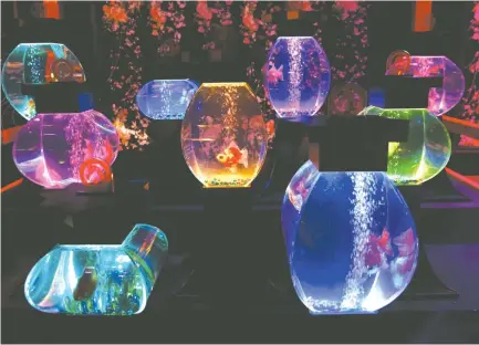  ??  ?? INSTALLATI­ONS using goldfish in illuminate­d tanks are displayed at the Art Aquarium exhibition in Tokyo, Japan.