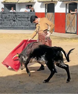  ?? ?? Derechazo de Aguado a una becerra de procedenci­a Guateles